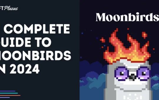 A Complete Guide to Moonbirds in 2024