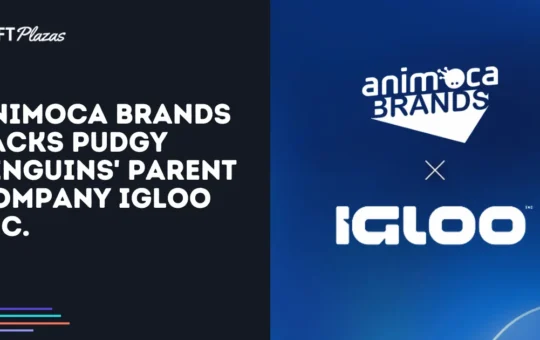 Animoca Brands Backs Pudgy Penguins' Parent Company Igloo Inc.