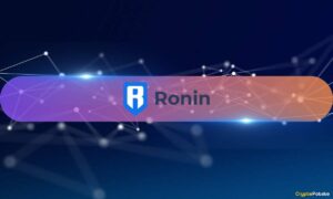 Ronin's DeFi TVL Grows 149% YoY, Boosted by RON Token's 30% Price Rise