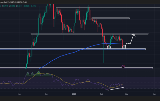 Cardano (ADA) Price Prediction for February 25
