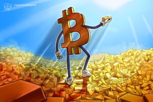 How do they stack up for investors?