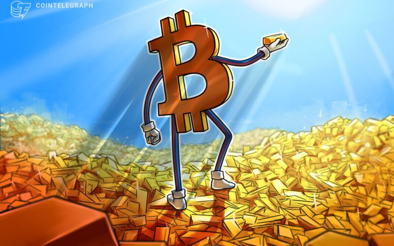 How do they stack up for investors?